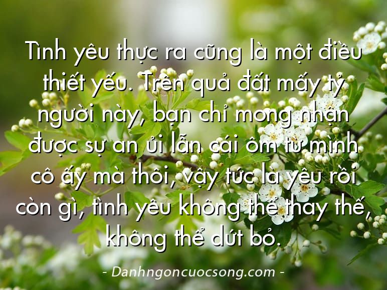 Tình yêu thực ra cũng là một điều thiết yếu. Trên quả đất mấy tỷ người này, bạn chỉ mong nhận được sự an ủi lẫn cái ôm từ mình cô ấy mà thôi, vậy tức là yêu rồi còn gì, tình yêu không thể thay thế, không thể dứt bỏ.