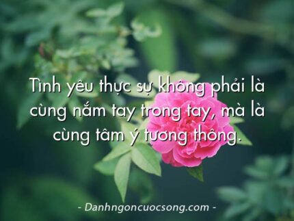 Tình yêu thực sự không phải là cùng nắm tay trong tay, mà là cùng tâm ý tương thông.