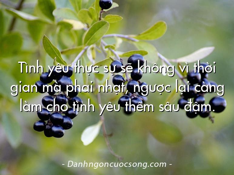Tình yêu thực sự sẽ không vì thời gian mà phai nhạt, ngược lại càng làm cho tình yêu thêm sâu đậm.