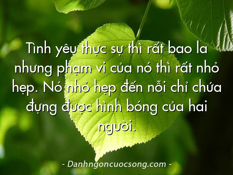 Tình yêu thực sự thì rất bao la nhưng phạm vi của nó thì rất nhỏ hẹp. Nó nhỏ hẹp đến nỗi chỉ chứa đựng được hình bóng của hai người.