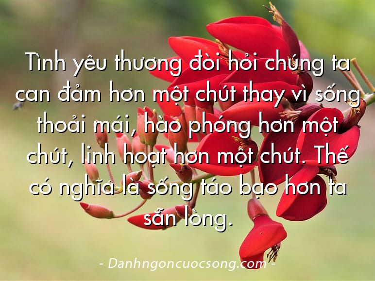 Tình yêu thương đòi hỏi chúng ta can đảm hơn một chút thay vì sống thoải mái, hào phóng hơn một chút, linh hoạt hơn một chút. Thế có nghĩa là sống táo bạo hơn ta sẵn lòng.