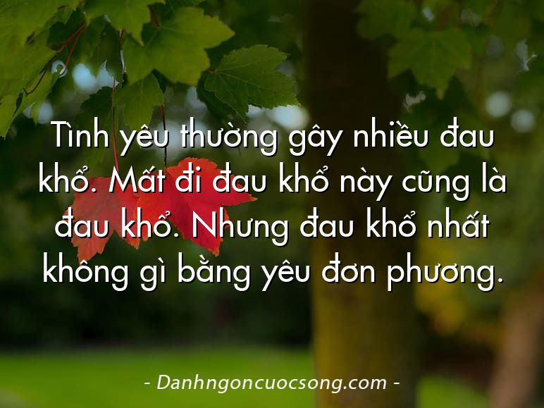 Tình yêu thường gây nhiều đau khổ. Mất đi đau khổ này cũng là đau khổ. Nhưng đau khổ nhất không gì bằng yêu đơn phương.