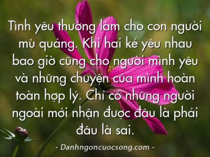 Tình yêu thường làm cho con người mù quáng. Khi hai kẻ yêu nhau bao giờ cũng cho người mình yêu và những chuyện của mình hoàn toàn hợp lý. Chỉ có những người ngoài mới nhận được đâu là phải đâu là sai.