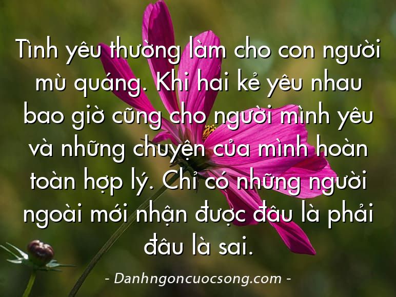 Tình yêu thường làm cho con người mù quáng. Khi hai kẻ yêu nhau bao giờ cũng cho người mình yêu và những chuyện của mình hoàn toàn hợp lý. Chỉ có những người ngoài mới nhận được đâu là phải đâu là sai.