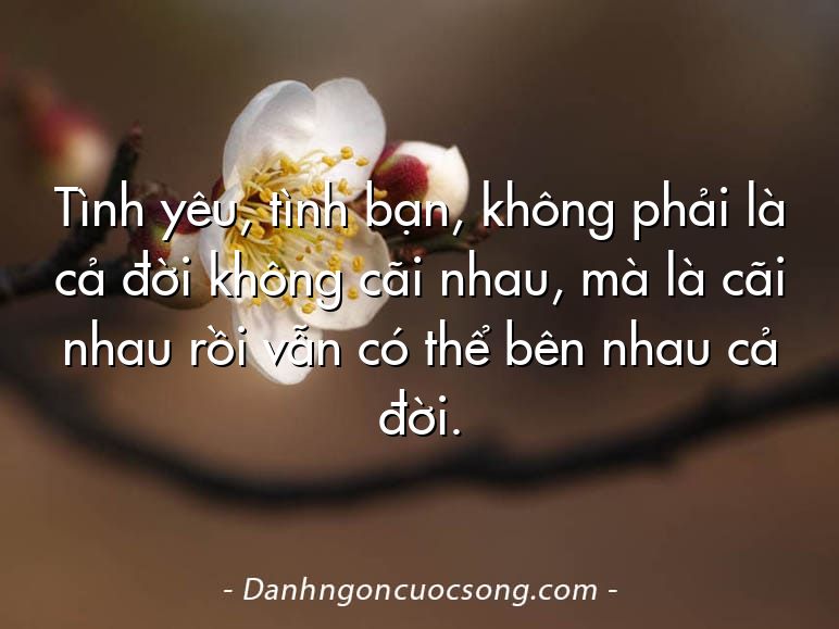 Tình yêu, tình bạn, không phải là cả đời không cãi nhau, mà là cãi nhau rồi vẫn có thể bên nhau cả đời.