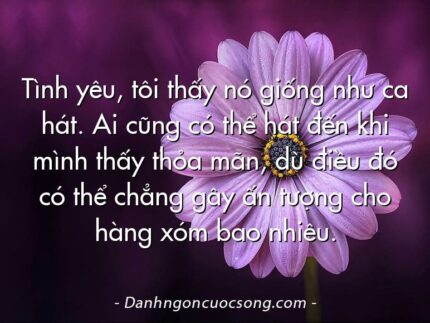 Tình yêu, tôi thấy nó giống như ca hát. Ai cũng có thể hát đến khi mình thấy thỏa mãn, dù điều đó có thể chẳng gây ấn tượng cho hàng xóm bao nhiêu.