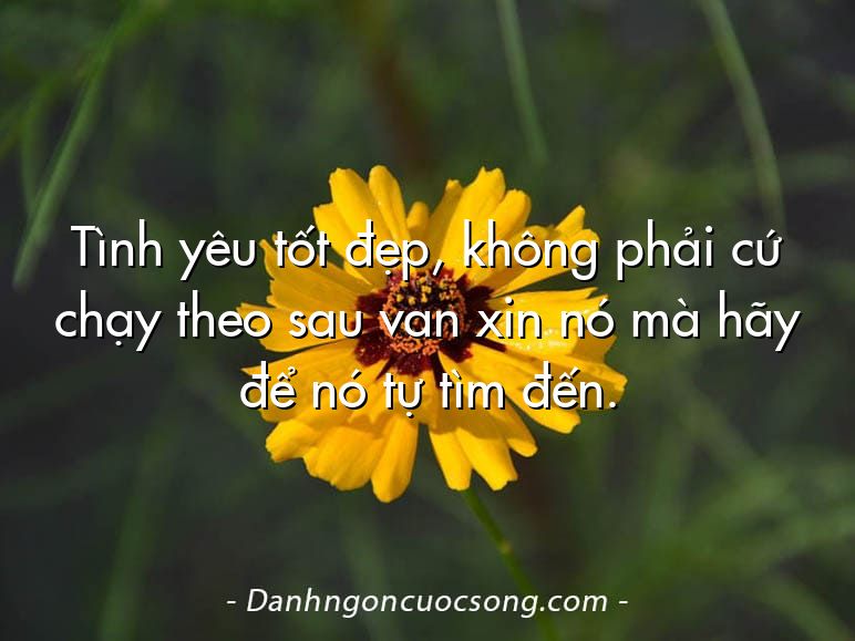 Tình yêu tốt đẹp, không phải cứ chạy theo sau van xin nó mà hãy để nó tự tìm đến.