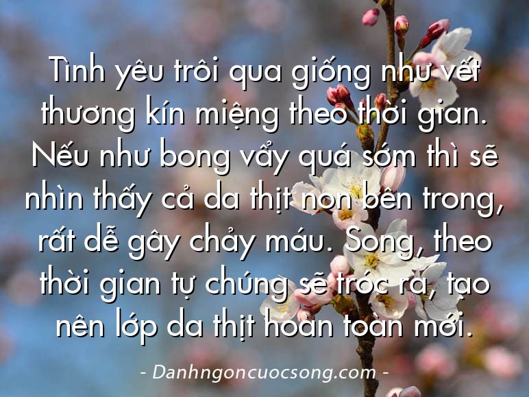 Tình yêu trôi qua giống như vết thương kín miệng theo thời gian. Nếu như bong vẩy quá sớm thì sẽ nhìn thấy cả da thịt non bên trong, rất dễ gây chảy máu. Song, theo thời gian tự chúng sẽ tróc ra, tạo nên lớp da thịt hoàn toàn mới.