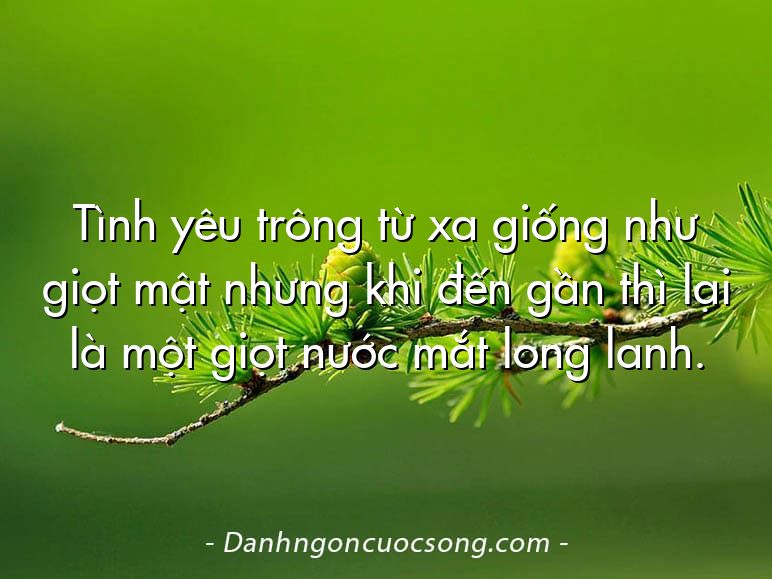 Tình yêu trông từ xa giống như giọt mật nhưng khi đến gần thì lại là một giọt nước mắt long lanh.