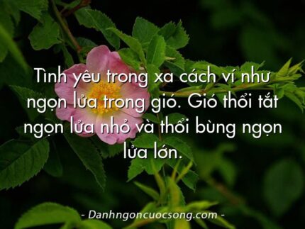 Tình yêu trong xa cách ví như ngọn lửa trong gió. Gió thổi tắt ngọn lửa nhỏ và thổi bùng ngọn lửa lớn.