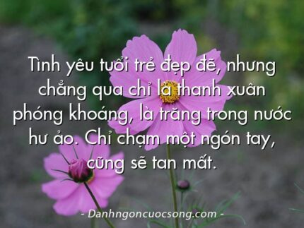 Tình yêu tuổi trẻ đẹp đẽ, nhưng chẳng qua chỉ là thanh xuân phóng khoáng, là trăng trong nước hư ảo. Chỉ chạm một ngón tay, cũng sẽ tan mất.