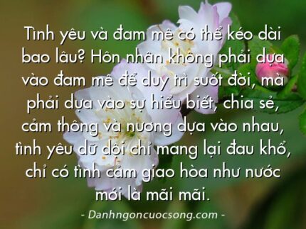 Tình yêu và đam mê có thể kéo dài bao lâu? Hôn nhân không phải dựa vào đam mê để duy trì suốt đời, mà phải dựa vào sự hiểu biết, chia sẻ, cảm thông và nương dựa vào nhau, tình yêu dữ dội chỉ mang lại đau khổ, chỉ có tình cảm giao hòa như nước mới là mãi mãi.