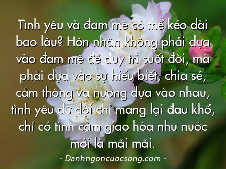 Tình yêu và đam mê có thể kéo dài bao lâu? Hôn nhân không phải dựa vào đam mê để duy trì suốt đời, mà phải dựa vào sự hiểu biết, chia sẻ, cảm thông và nương dựa vào nhau, tình yêu dữ dội chỉ mang lại đau khổ, chỉ có tình cảm giao hòa như nước mới là mãi mãi.