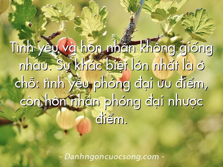 Tình yêu và hôn nhân không giống nhau. Sự khác biệt lớn nhất là ở chỗ: tình yêu phóng đại ưu điểm, còn hôn nhân phóng đại nhược điểm.