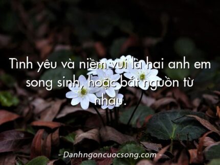 Tình yêu và niềm vui là hai anh em song sinh, hoặc bắt nguồn từ nhau.