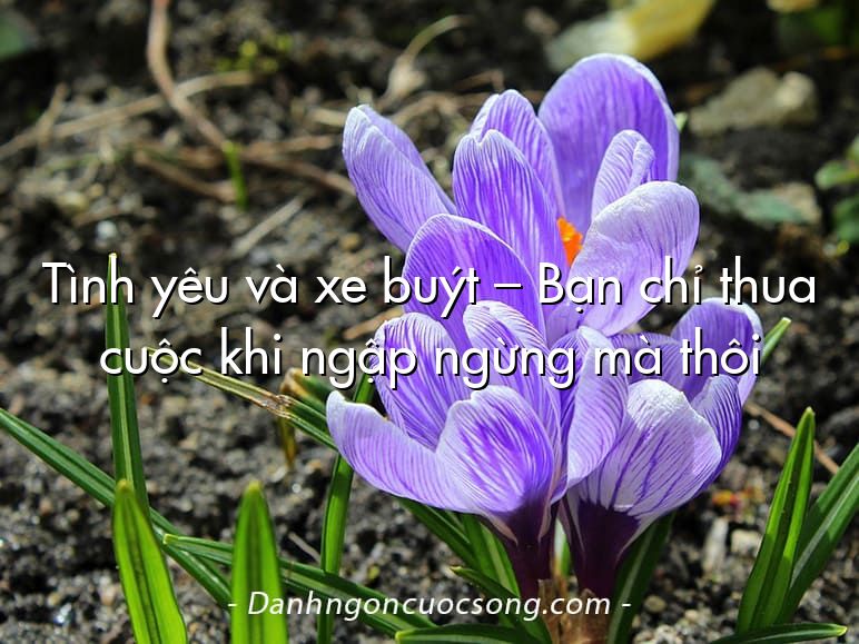 Tình yêu và xe buýt – Bạn chỉ thua cuộc khi ngập ngừng mà thôi