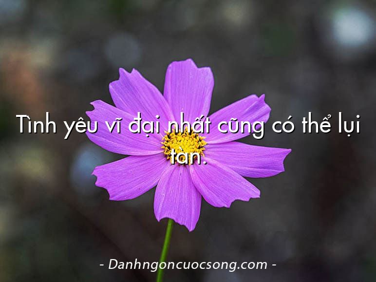 Tình yêu vĩ đại nhất cũng có thể lụi tàn.