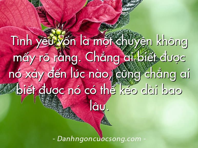 Tình yêu vốn là một chuyện không mấy rõ ràng. Chẳng ai biết được nó xảy đến lúc nào, cũng chẳng ai biết được nó có thể kéo dài bao lâu.