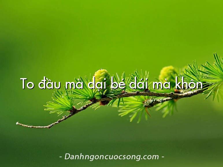 To đầu mà dại bé dái mà khôn