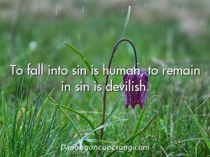 To fall into sin is human, to remain in sin is devilish.