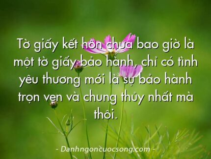 Tờ giấy kết hôn chưa bao giờ là một tờ giấy bảo hành, chỉ có tình yêu thương mới là sự bảo hành trọn vẹn và chung thủy nhất mà thôi.