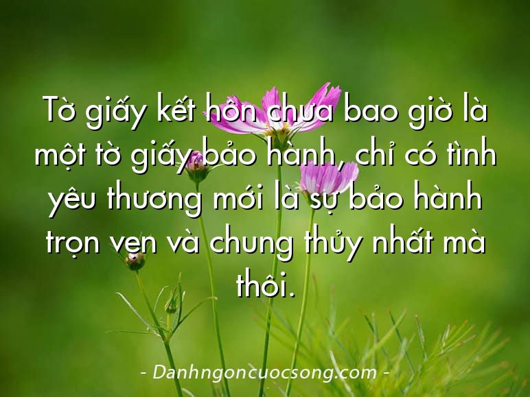 Tờ giấy kết hôn chưa bao giờ là một tờ giấy bảo hành, chỉ có tình yêu thương mới là sự bảo hành trọn vẹn và chung thủy nhất mà thôi.