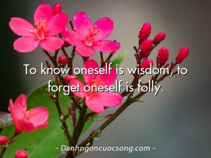 To know oneself is wisdom, to forget oneself is folly.