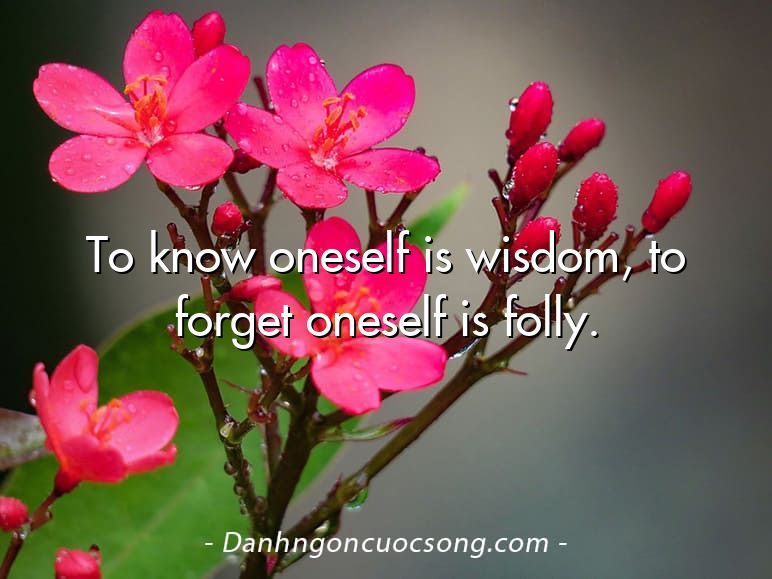 To know oneself is wisdom, to forget oneself is folly.