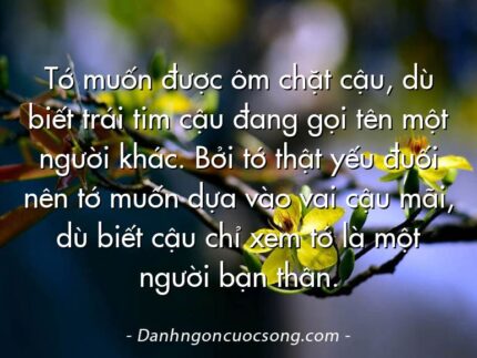 Tớ muốn được ôm chặt cậu, dù biết trái tim cậu đang gọi tên một người khác. Bởi tớ thật yếu đuối nên tớ muốn dựa vào vai cậu mãi, dù biết cậu chỉ xem tớ là một người bạn thân.