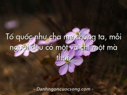 Tổ quốc như cha mẹ chúng ta, mỗi người đều có một và chỉ một mà thôi.