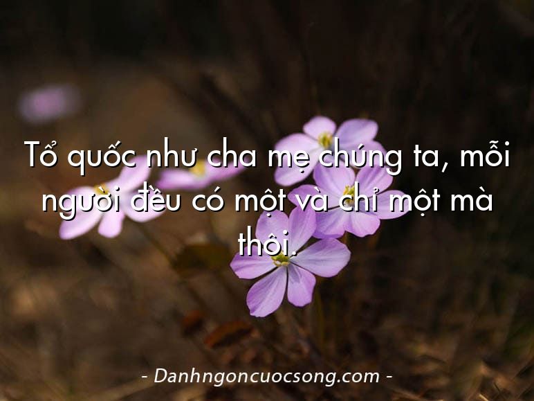 Tổ quốc như cha mẹ chúng ta, mỗi người đều có một và chỉ một mà thôi.