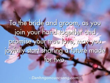 To the bride and groom, as you join your hand together and promise your true love, may you joyfully start sharing a future made for two.
