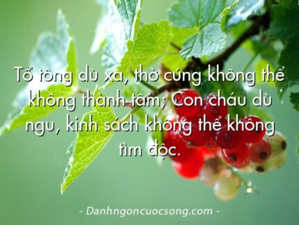 Tổ tông dù xa, thờ cúng không thể không thành tâm; Con cháu dù ngu, kinh sách không thể không tìm độc.