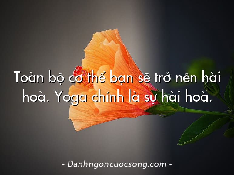 Toàn bộ cơ thể bạn sẽ trở nên hài hoà. Yoga chính là sự hài hoà.