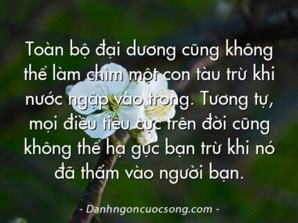 Toàn bộ đại dương cũng không thể làm chìm một con tàu trừ khi nước ngập vào trong. Tương tự, mọi điều tiêu cực trên đời cũng không thể hạ gục bạn trừ khi nó đã thấm vào người bạn.