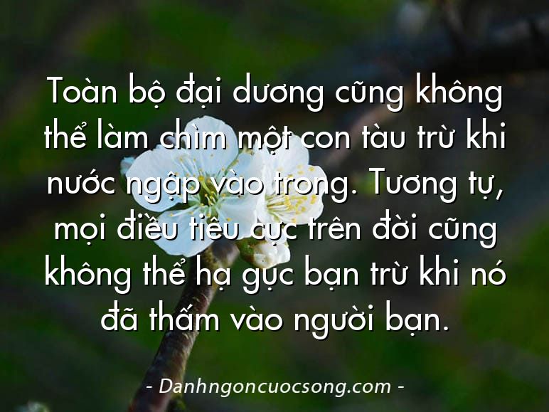 Toàn bộ đại dương cũng không thể làm chìm một con tàu trừ khi nước ngập vào trong. Tương tự, mọi điều tiêu cực trên đời cũng không thể hạ gục bạn trừ khi nó đã thấm vào người bạn.