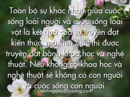 Toàn bộ sự khác nhau giữa cuộc sống loài người và cuộc sống loài vật là kết quả của sự truyền đạt kiến thức, mà kiến thức thì được truyền đạt bằng khoa học và nghệ thuật. Nếu không có khoa học và nghệ thuật sẽ không có con người và cuộc sống con người.