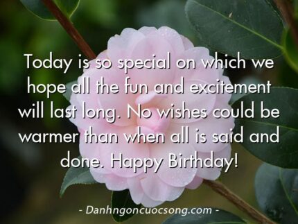 Today is so special on which we hope all the fun and excitement will last long. No wishes could be warmer than when all is said and done. Happy Birthday!
