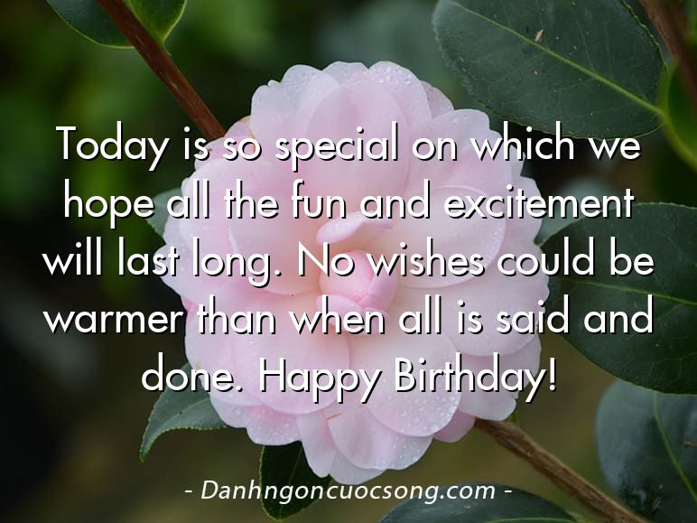 Today is so special on which we hope all the fun and excitement will last long. No wishes could be warmer than when all is said and done. Happy Birthday!