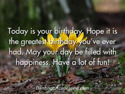 Today is your birthday. Hope it is the greatest birthday you’ve ever had. May your day be filled with happiness. Have a lot of fun!