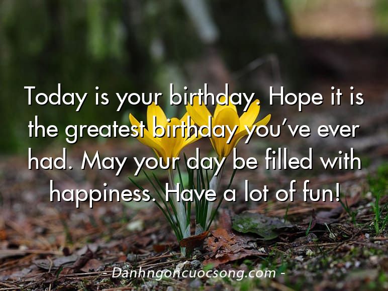 Today is your birthday. Hope it is the greatest birthday you’ve ever had. May your day be filled with happiness. Have a lot of fun!