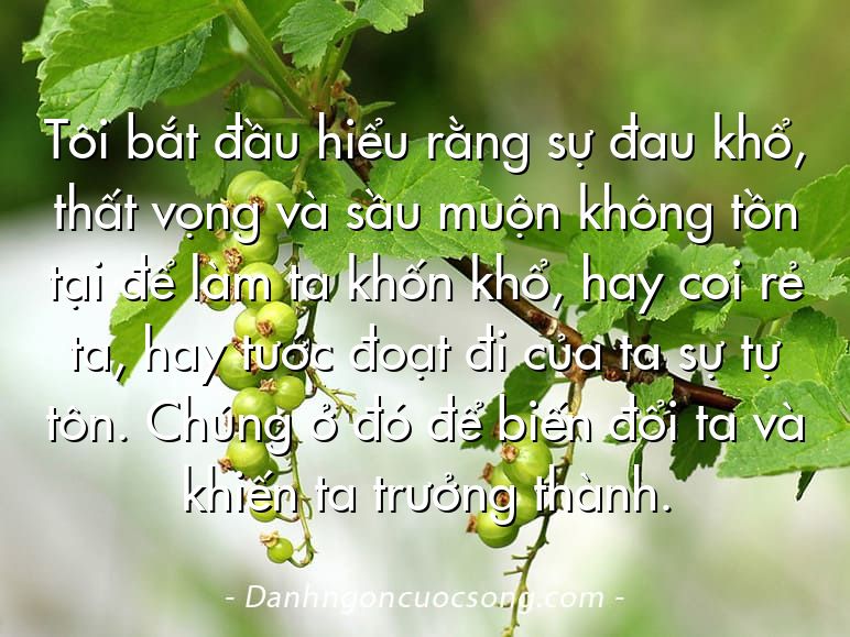 Tôi bắt đầu hiểu rằng sự đau khổ, thất vọng và sầu muộn không tồn tại để làm ta khốn khổ, hay coi rẻ ta, hay tước đoạt đi của ta sự tự tôn. Chúng ở đó để biến đổi ta và khiến ta trưởng thành.