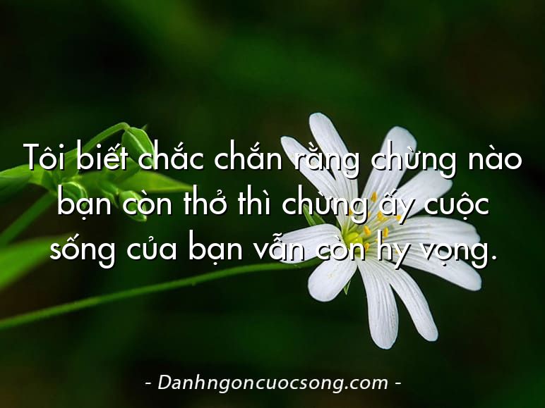 Tôi biết chắc chắn rằng chừng nào bạn còn thở thì chừng ấy cuộc sống của bạn vẫn còn hy vọng.