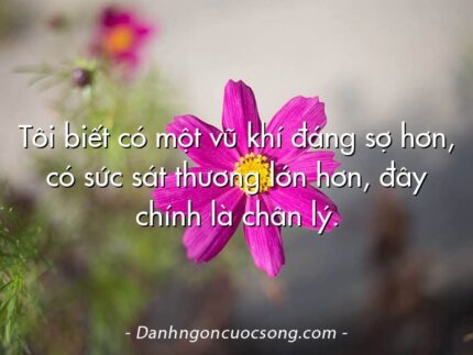 Tôi biết có một vũ khí đáng sợ hơn, có sức sát thương lớn hơn, đây chính là chân lý.