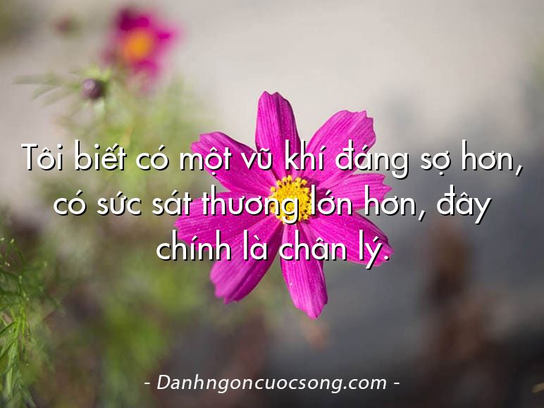 Tôi biết có một vũ khí đáng sợ hơn, có sức sát thương lớn hơn, đây chính là chân lý.