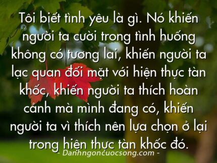 Tôi biết tình yêu là gì. Nó khiến người ta cười trong tình huống không có tương lai, khiến người ta lạc quan đối mặt với hiện thực tàn khốc, khiến người ta thích hoàn cảnh mà mình đang có, khiến người ta vì thích nên lựa chọn ở lại trong hiện thực tàn khốc đó.