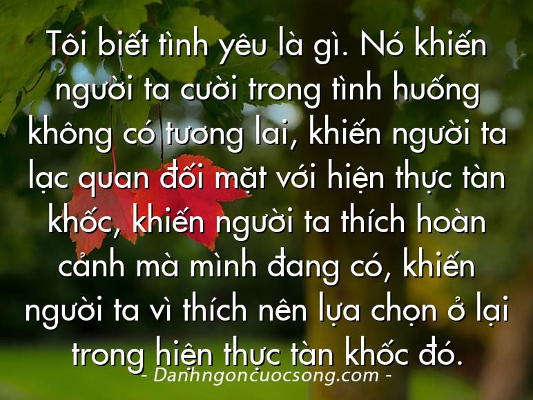 Tôi biết tình yêu là gì. Nó khiến người ta cười trong tình huống không có tương lai, khiến người ta lạc quan đối mặt với hiện thực tàn khốc, khiến người ta thích hoàn cảnh mà mình đang có, khiến người ta vì thích nên lựa chọn ở lại trong hiện thực tàn khốc đó.