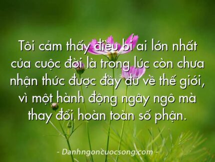 Tôi cảm thấy điều bi ai lớn nhất của cuộc đời là trong lúc còn chưa nhận thức được đầy đủ về thế giới, vì một hành động ngây ngô mà thay đổi hoàn toàn số phận.