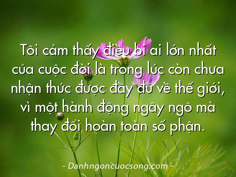 Tôi cảm thấy điều bi ai lớn nhất của cuộc đời là trong lúc còn chưa nhận thức được đầy đủ về thế giới, vì một hành động ngây ngô mà thay đổi hoàn toàn số phận.