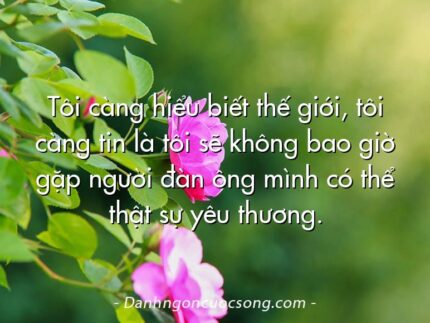 Tôi càng hiểu biết thế giới, tôi càng tin là tôi sẽ không bao giờ gặp người đàn ông mình có thể thật sự yêu thương.